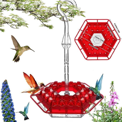 ✨Hummingbird Feeders for Outdoors Hanging