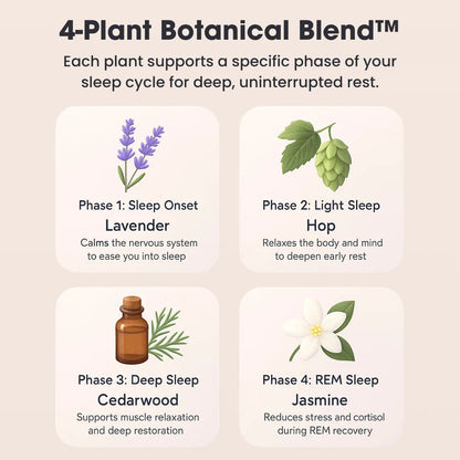 Pefectly Restful Sleep & Energized Mornings