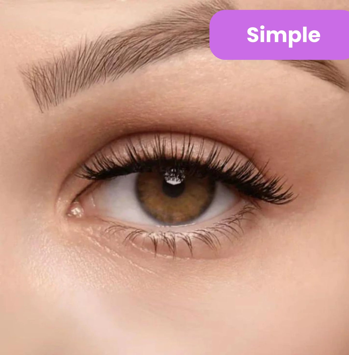 Snap-On Magnetic Lashes