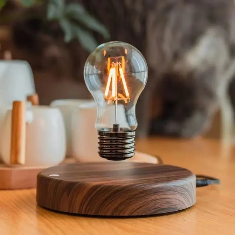 Floating LED Bulb Lamp – ELZALINE